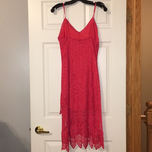 Beautiful and Classy BB Dakota RSVP Dress - Picture 4 of 7